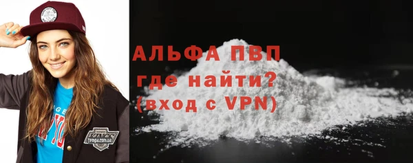прущий лед Богданович