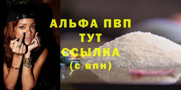 прущий лед Богданович