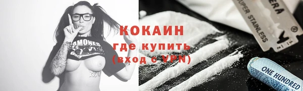 прущий лед Богданович