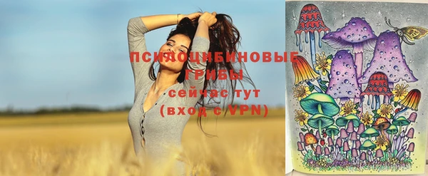 прущий лед Богданович