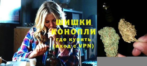 прущий лед Богданович