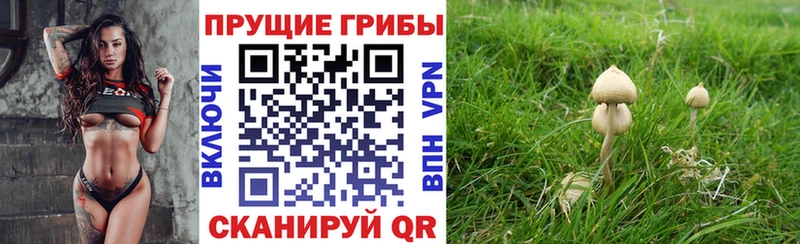 наркошоп  blacksprut зеркало  Галлюциногенные грибы мухоморы  сайты даркнета как зайти  Кологрив 